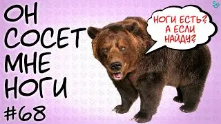 МЕДВЕДЬ СОСЕТ МНЕ НОГИ [СЛИВКИ ОТБОРНЫЕ] #68