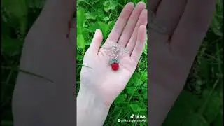 Raspberry pendant necklace glass lampwork  малина из стекла подвеска лэмпворк