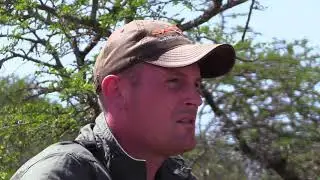 Pete Safaris PROMO 2020 Version 2