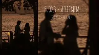 BLOK3 - AFFETMEM ( SLOWED + REVERB)