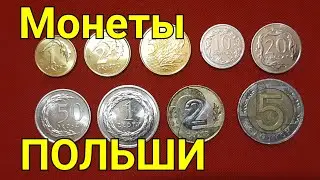 Монеты ПОЛЬШИ