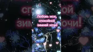 Любовь моя, спокойной ночи! 