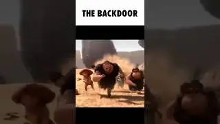 Doors Floors In A Nutshell 