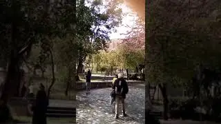 После дождика под акрополем...