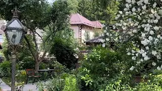 Летом на даче . Обзор сада огорода теплиц . Поговорим о саде