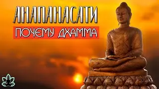 Анапанасати -Лекция 1 [Почему дхамма] Аудиокнига