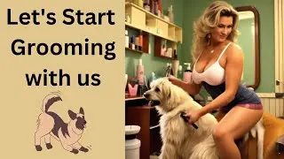 5 steps to groom your Dog