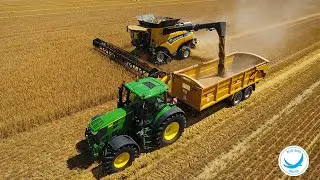 Harvest 2020 | New Holland CR 9.90 | Harvesting Winter Barley