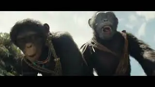 Un aperçu de 7 minutes de “LA PLANÈTE DES SINGES: LE NOUVEAU ROYAUME” est sorti !! 🎞️📽️🎥🐵🐒🦧🦍🖤✅