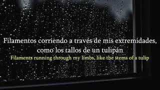 Bones - HeySorry,IWasInTheShower Lyrics (Sub. Español)
