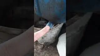 Чистка топливного бака мтз 50