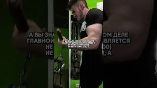 тгк: печка , ссылка в профиле #sport #fitness #motivation #gymmotivation