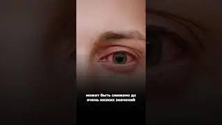 2 октября 2024 г.