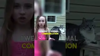 Sabrina Carpenter jokingly trying to speak with a cat 🐈😹😂