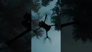 Foggy weather, drones and girl… could you ask for more? #broll #djimini3pro @DominiqueJeune