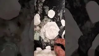 Did this trick you? 