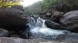 CLASSİC MUSİC SYMPHONY NO: 5  in C MİNOR   PART ALLERGO CON BRİO  by LUDWİG VAN BEETHOVEN