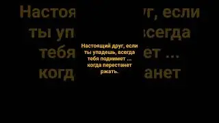 Nастоящий Dруг