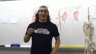 Anatomy Tuesdays: Glutes Week