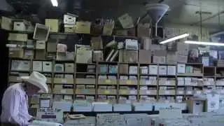 VINYL :: Journey Through a Record Store