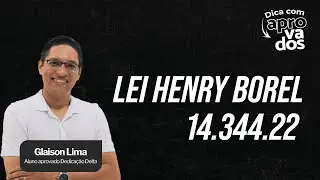 Henry Borel Law - 14.344.22 - Criminal Aspects