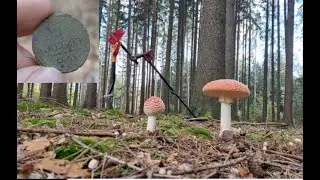 Podzimní lesík - válka a středověk