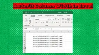 AutoFit Column Width in Microsoft Excel  | Excel Expert Bangladesh