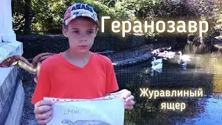 Геранозавр — журавлиный ящер #рекомендации