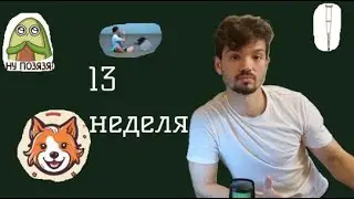 Работа в IT. 13 неделя. Результаты испыталки в Сбере. Pet-проект. Отдых разработчика.