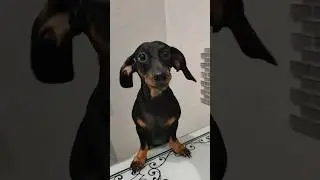 Саня!