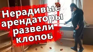 Когда сдаете квартиру, смотрите, кому ее сдаете, что бы потом не оказаться в квартире с клопами