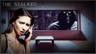Stalker Simulator Demo w/ Webcam!