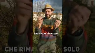 3 ERRORI da non fare quando fai le POTATURE