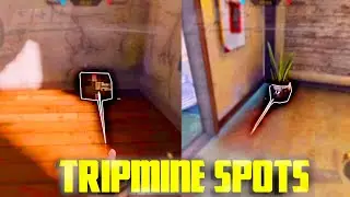 Invisible Tripmine Spots in Standoff map | CODM | #glitch