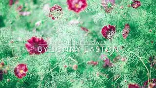 Rise Of  The Flower - Piano Music - Royalty Free