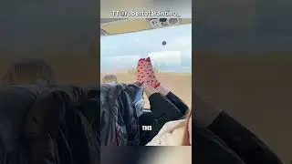 Why They Raise Their Legs 😂 