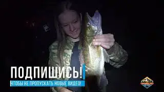 ТАКОГО ОКУНЯ МЫ НЕ ЖДАЛИ!! Жара. Июль. Рыбалка 2022.#vanlife