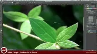 Photoshop CS6: Pen Tool Tutorial