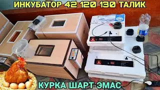 ЖУЖА ОЧИРИШ ВАКТИ КЕЛДИ ИНКУБАТОРЛАР СОТИЛАДИ INKUBATORDA JO'JA OCHIRIB BIZNES QILISH