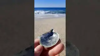 Alanya