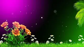 Flower Green Screen Background Video Effects | Green Screen Video