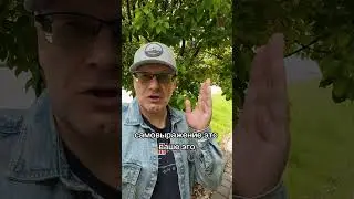 Самовыражение - пустая трата жизни! 