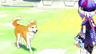 Feeding the Dog in Liyue - Genshin Impact