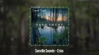 Sunville Sounds - Crius | Deep Swamp