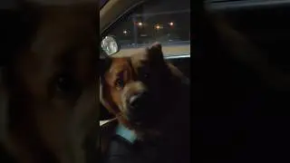 Голодная красотка Рита