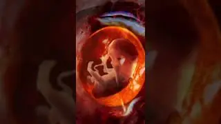 Baby Transition Fetus to a WONDER born!✨🤯 #shorts
