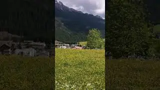 16 giugno 2024