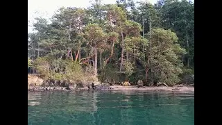 Larrabee to Teddybear Cove Kayak Trip - Guided Kayaking Tour