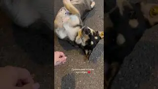 Спасибо, что помогли все узнать ♥️ #тбилиси #georgia #tbilisi #грузия