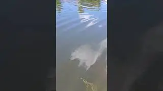 un lugar precioso muy lindo